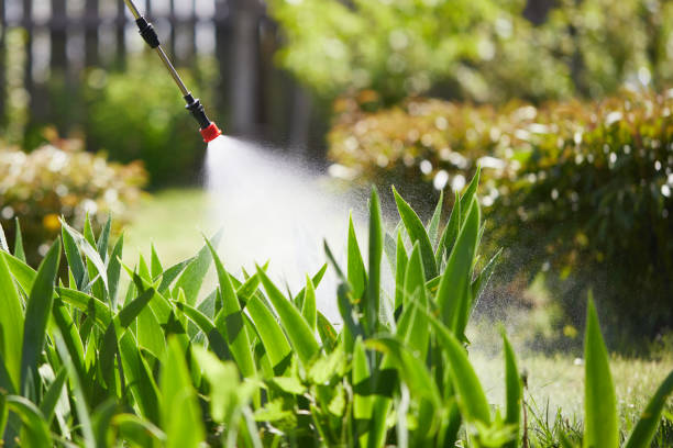 Tamper-Resistant Bait Stations for Rodents in Greene