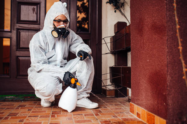 Attic and Crawl Space Rodent Treatment in Greene